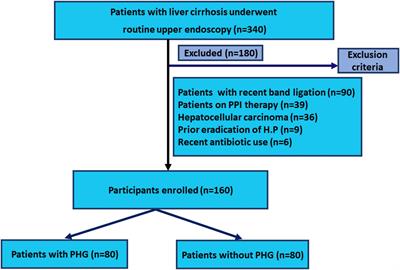 Helicobacter pylori Infection in Cirrhotic Patients With Portal Hypertensive Gastropathy: A New Enigma?